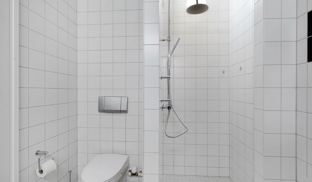 Billede til leje