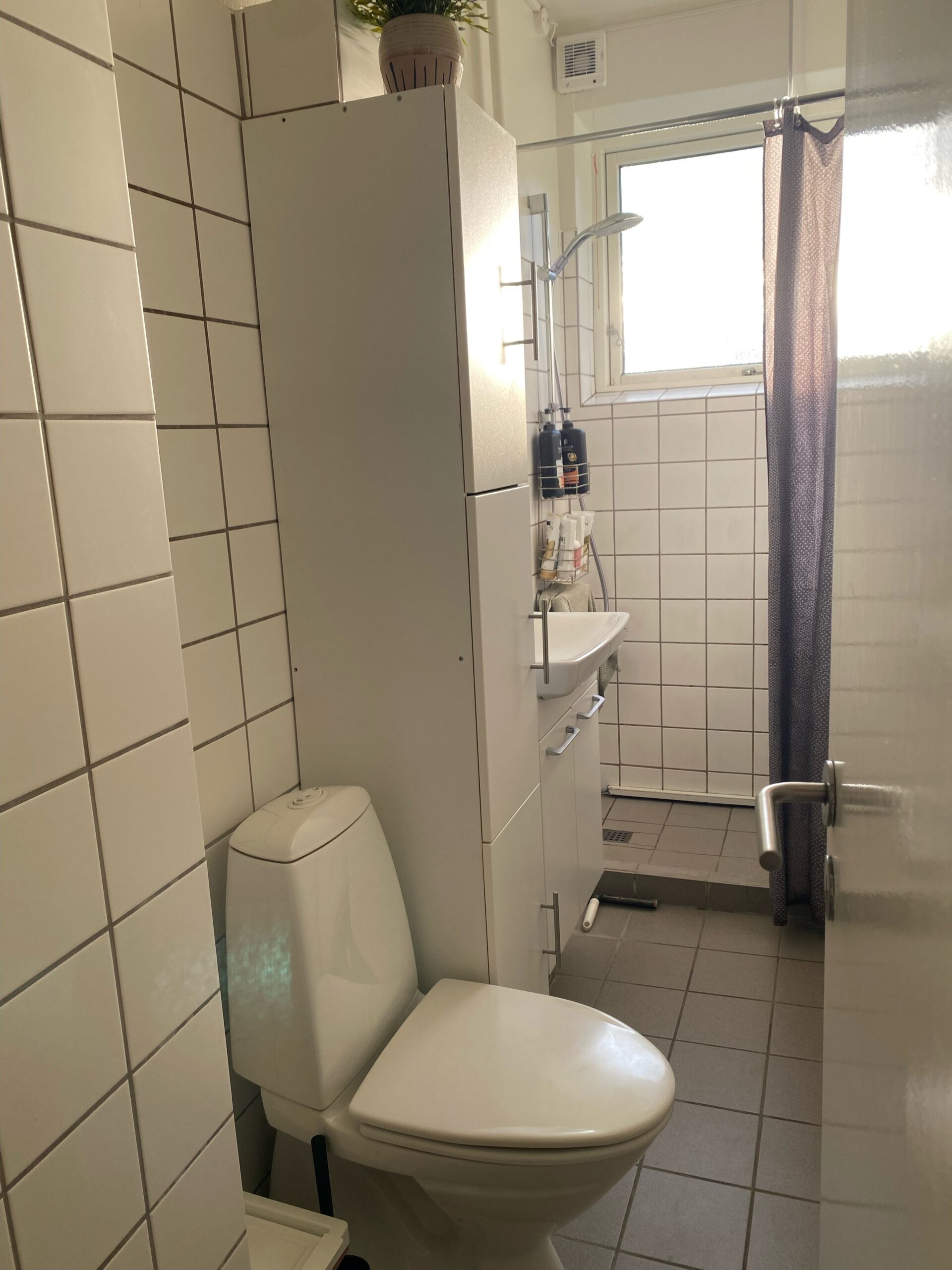 Billede til leje