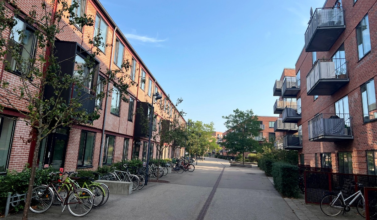 Billede til leje