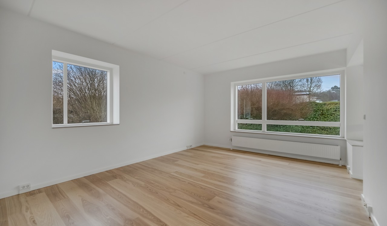 Billede til leje