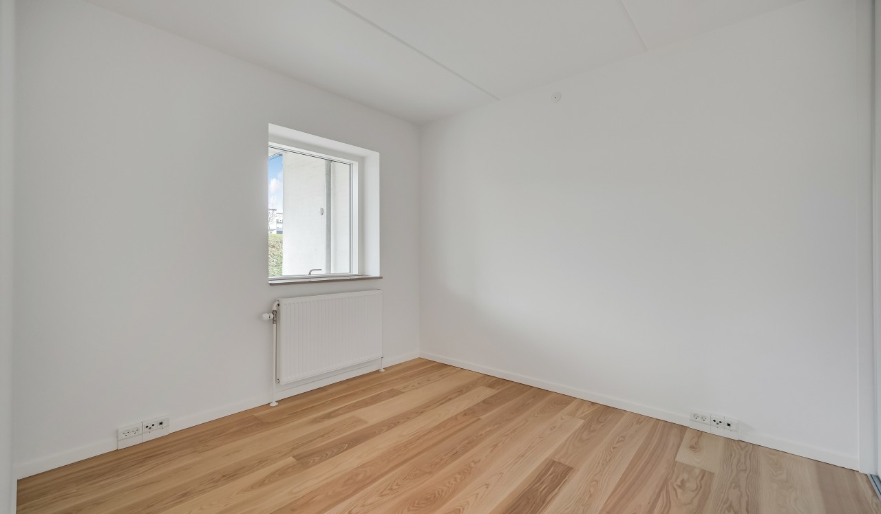 Billede til leje