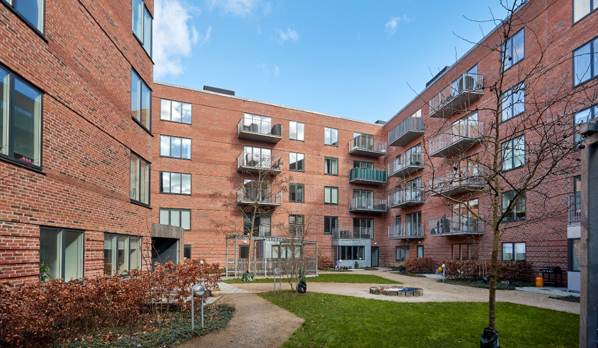 Billede til leje