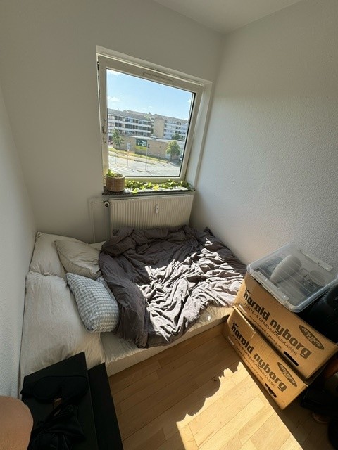 Billede til leje