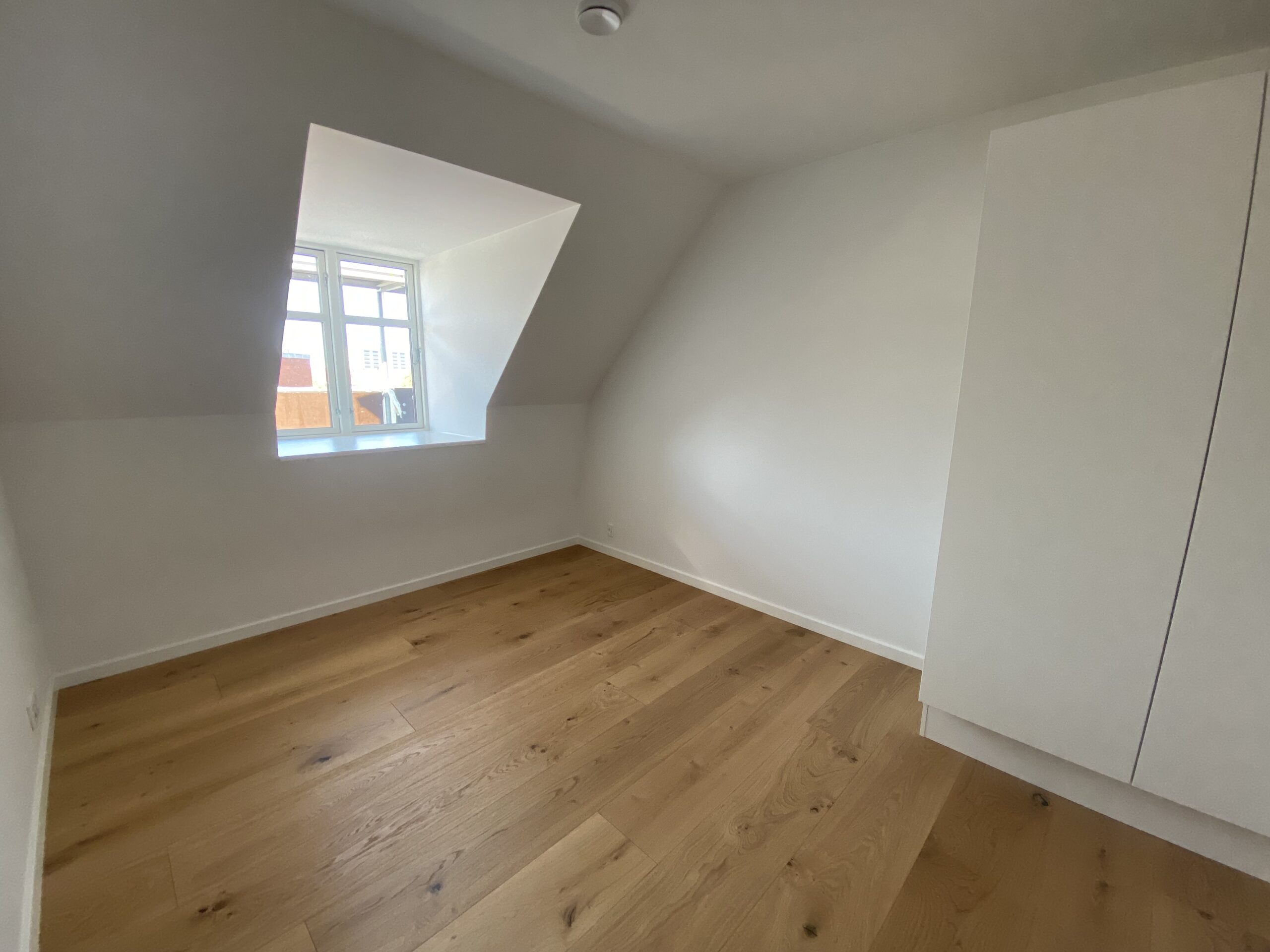 Billede til leje