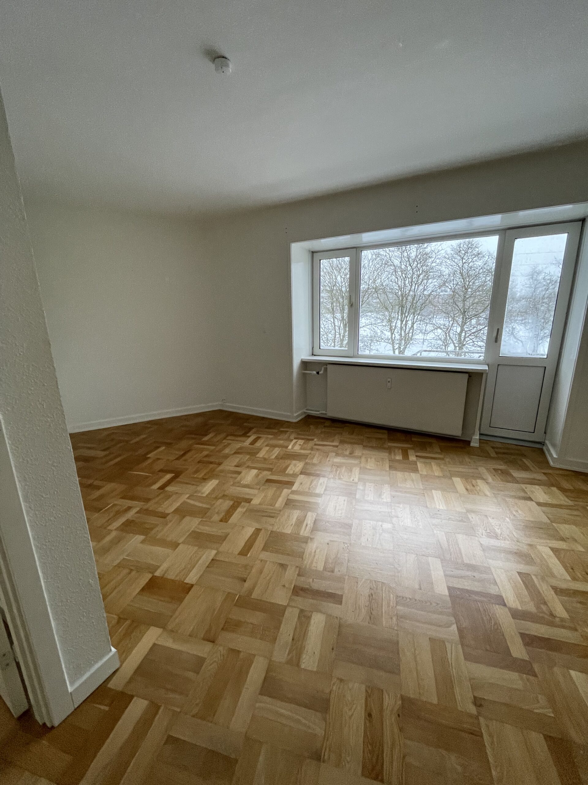 Billede til leje