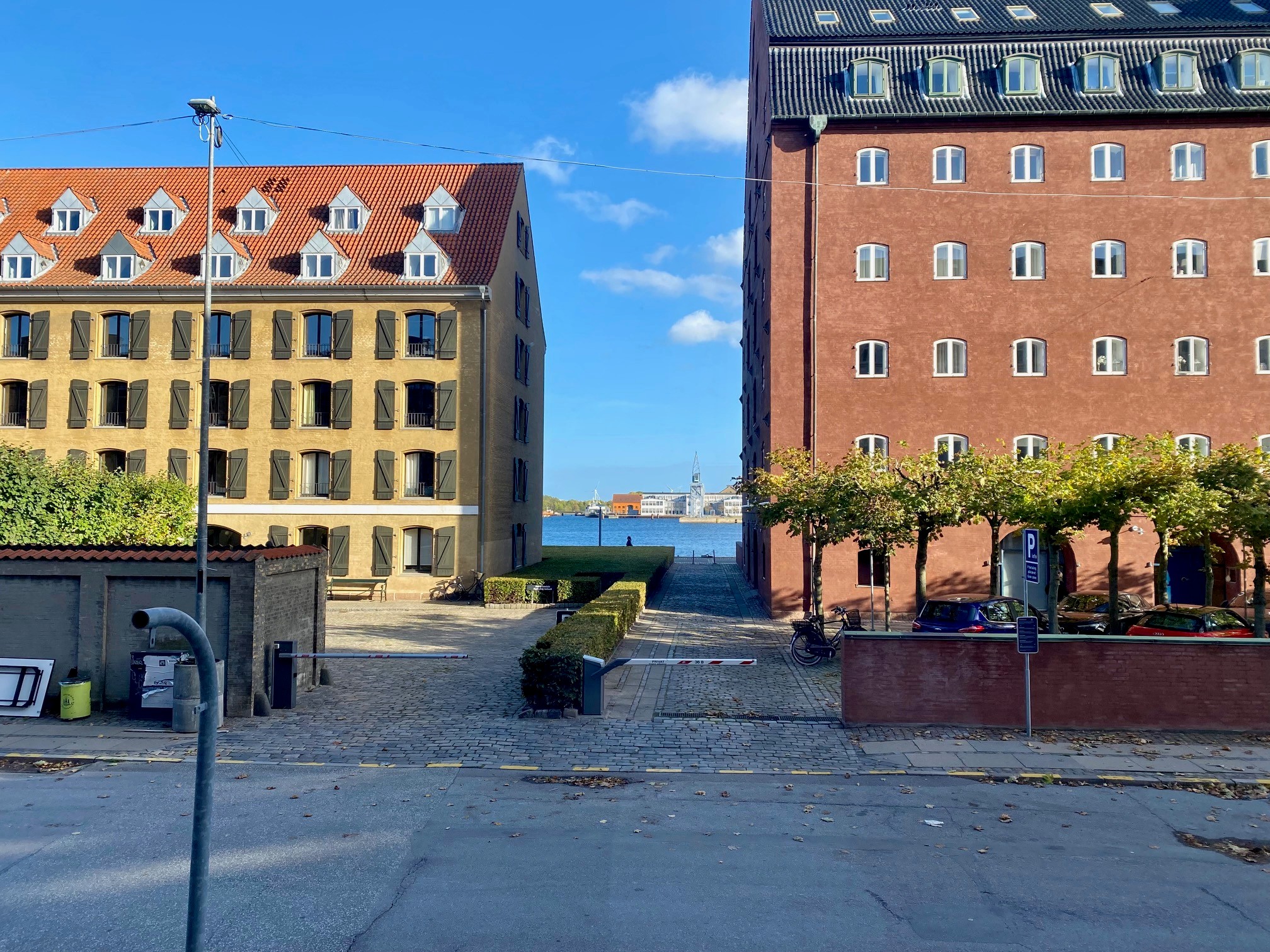 Billede til leje
